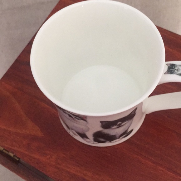 Vintage Dunoon black and white kittens mug - Picture 7 of 7